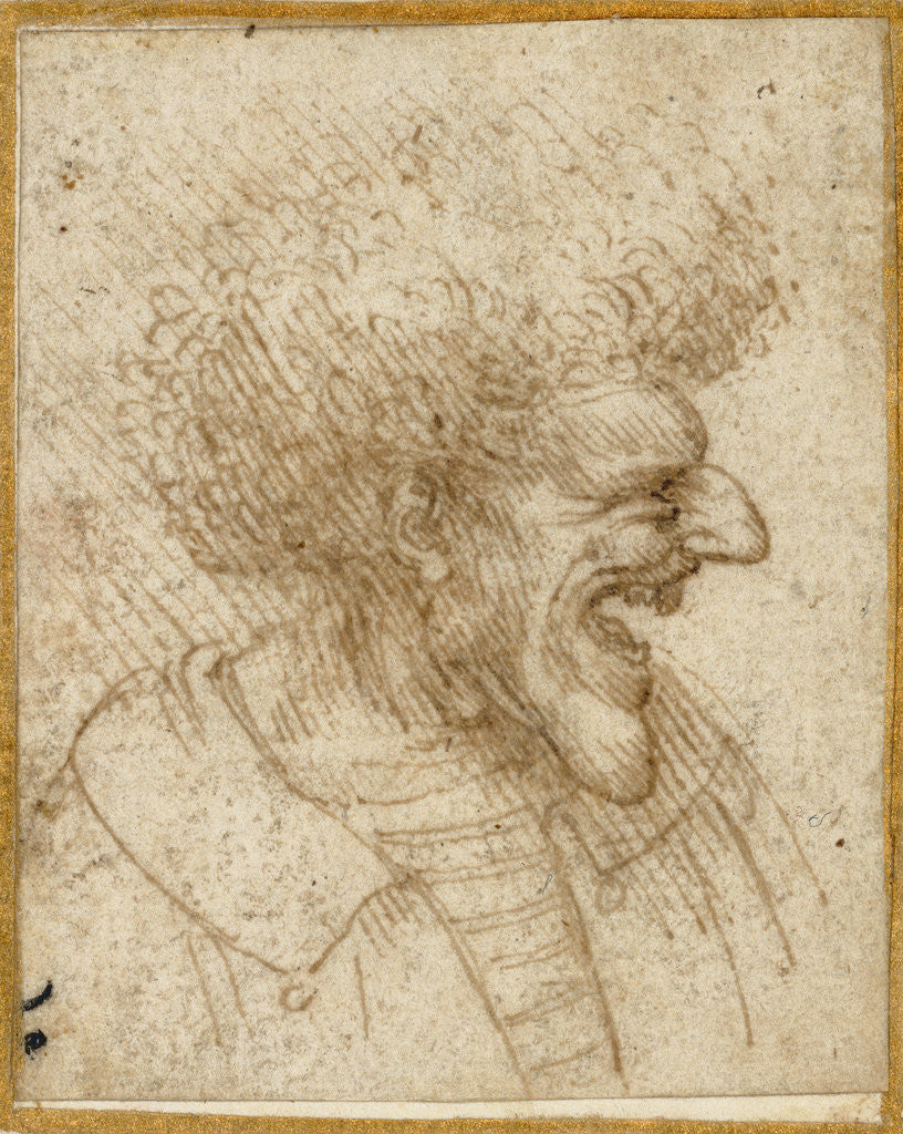 Леонардо да Винчи caricature