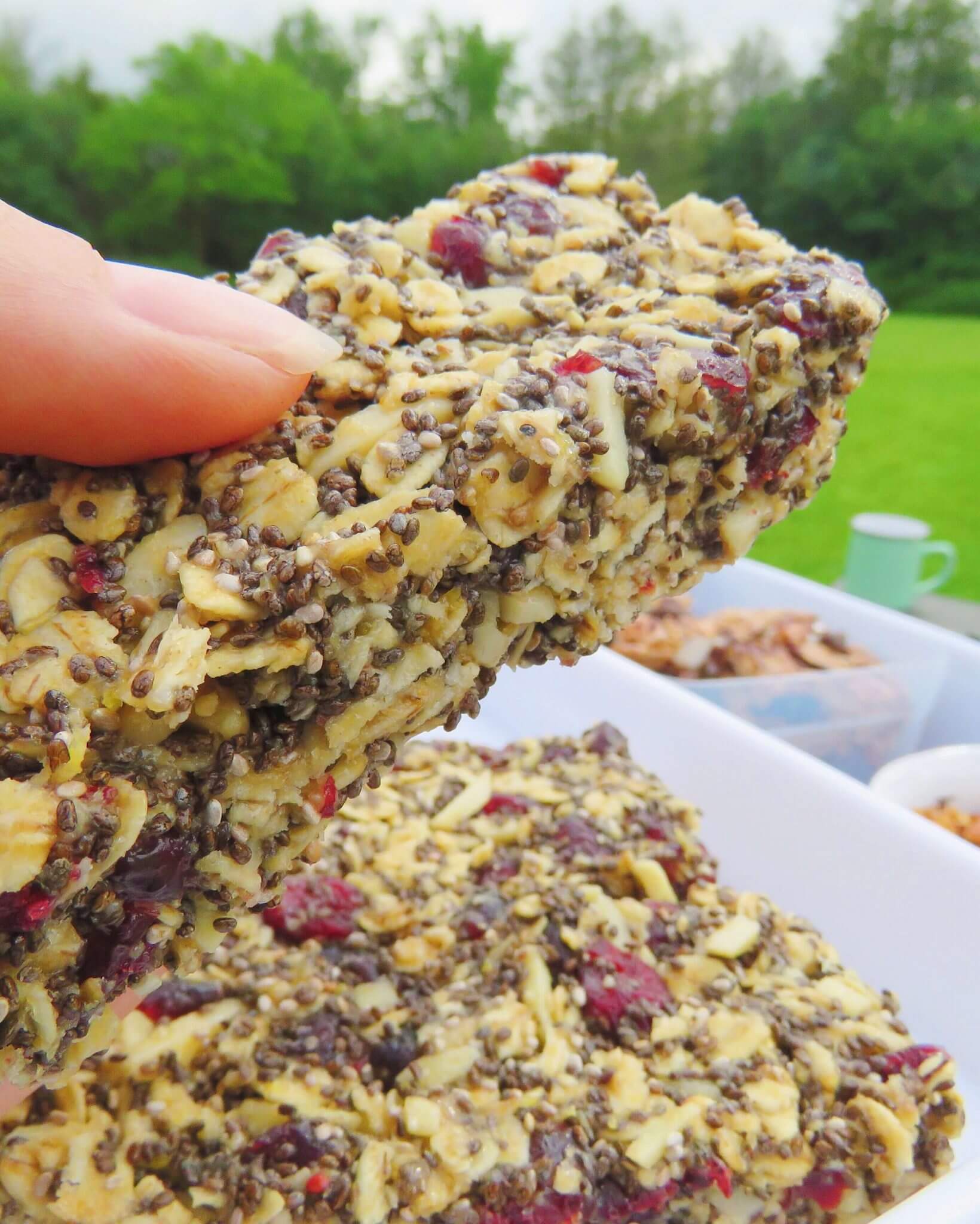 Homemade Granola Bars