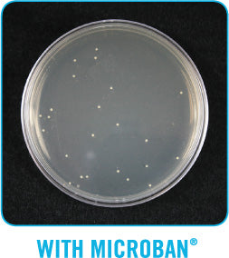 Bacteria with Microban