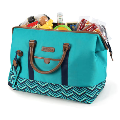 arctic zone insulated picnic satchel