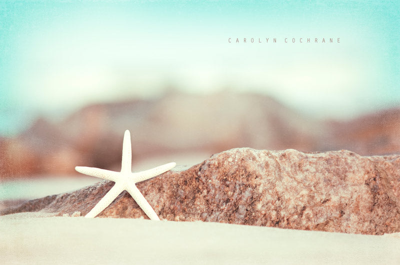 Starfish Beach Photography by carolyncochrane.com