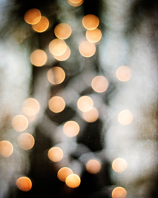 Black Gold Sparkle Light Photography | Black Gold Art – Carolyn Cochrane  Photography