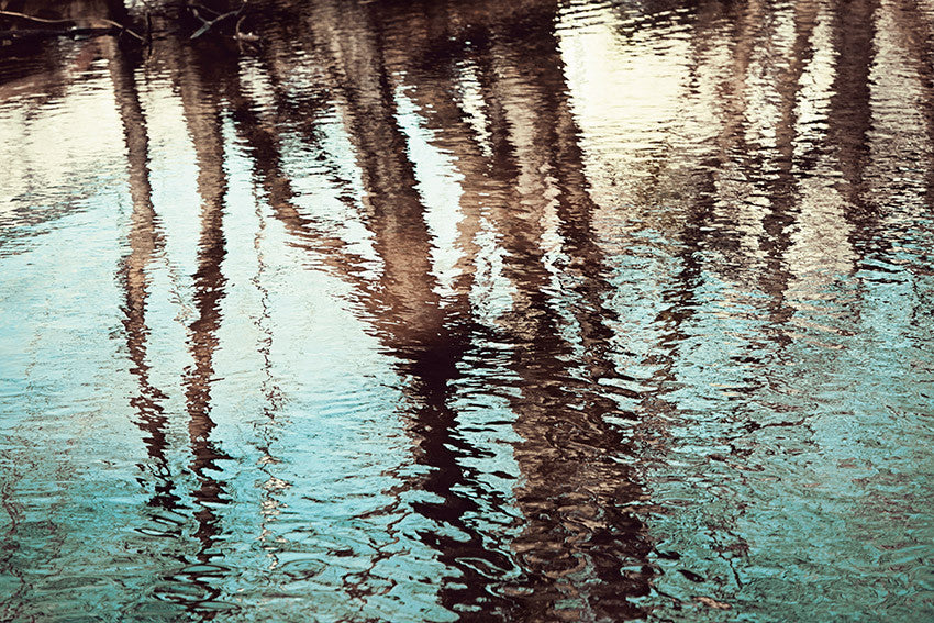 Tree Water Reflections Photography Nature Reflection Art Print Carolyn Cochrane Photography