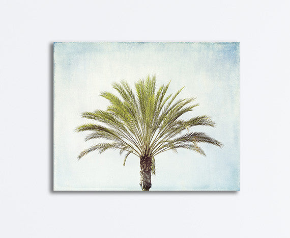 Palm Tree Photography Print | Palm Tree Beach Art Photo Print – Carolyn ...