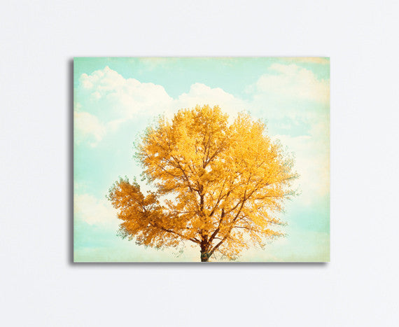 Fall Trees Photography by carolyncochrane.com