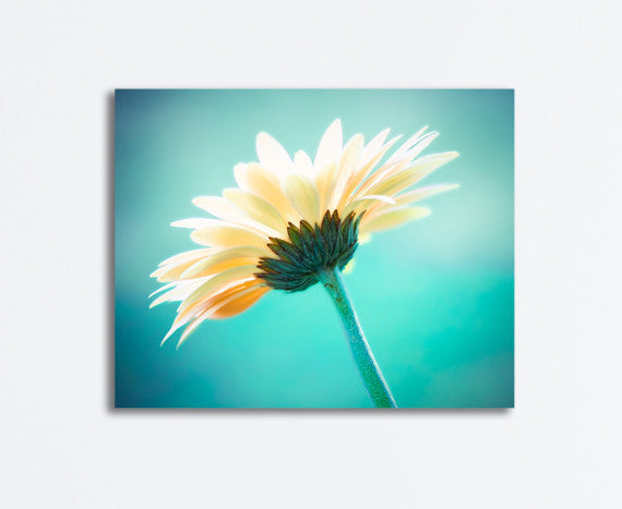 Aqua Yellow Nature Wall Art | Aqua Yellow Wall Prints – Carolyn ...