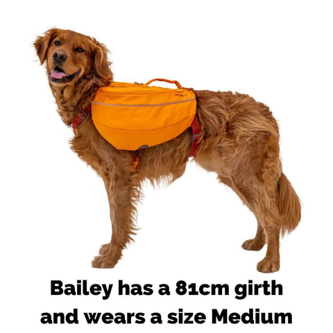 Ruffwear Approach Dog Backpack on Bailey who wears a size Medium