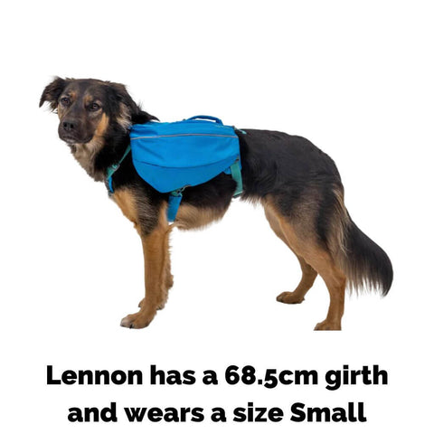 Ruffwear Approach Pack on Lennon who wears a size Small