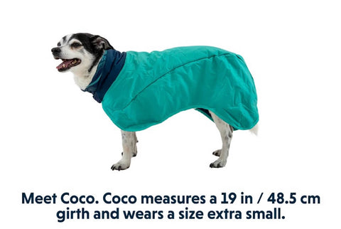Ruffwear Dirtbag Dog Drying Towel on Coco who wears a size XS