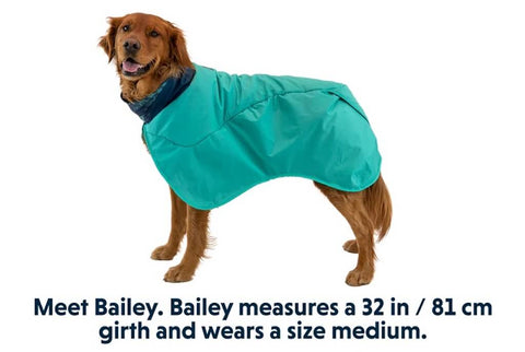 Ruffwear Dirtbag Dog Drying Towel on Bailey who wears a size Medium