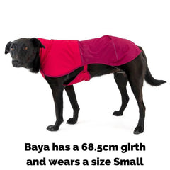 Ruffwear Sun Shower Dog Coat on Baya with an 68cm girth wearing a Small
