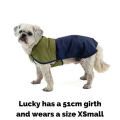 Ruffwear Sun Shower Dog Coat on Lucky with an 51cm girth wearing a xsmall