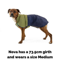 Ruffwear Sun Shower Dog Coat on Nova with an 73cm girth wearing a medium