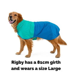Ruffwear Sun Shower Dog Coat on Rigby with an 81cm girth wearing a large