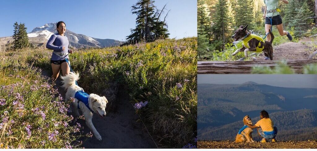 Ruffwear's Trail Runner Belt System Lifestyle Collage - Showing People running with their dogs