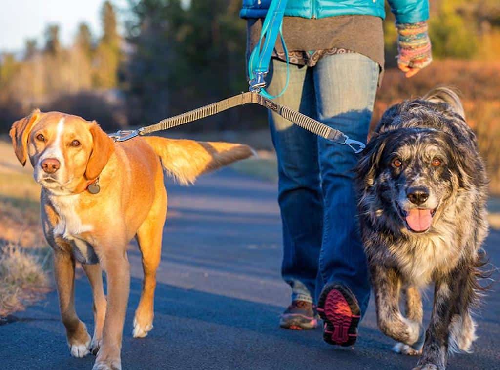 ruffwear double track coupler