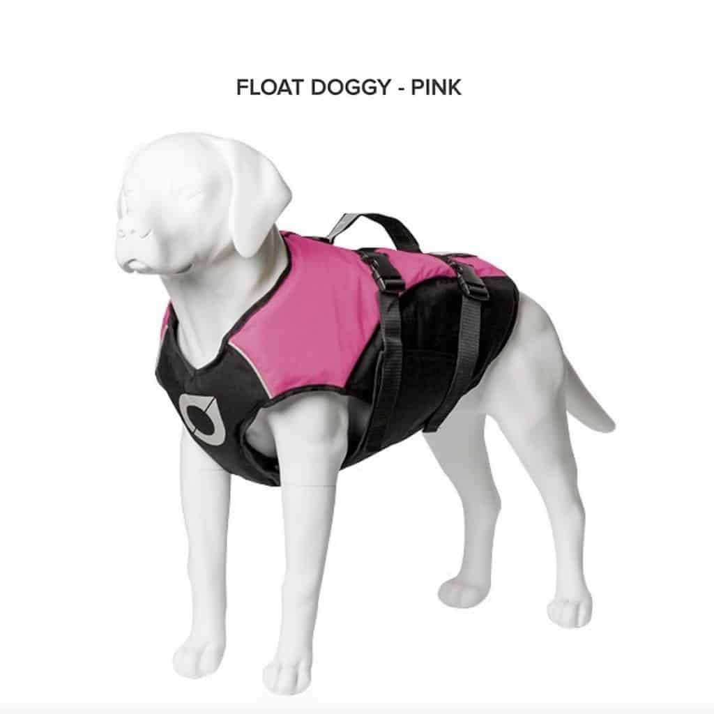 black dog life jacket