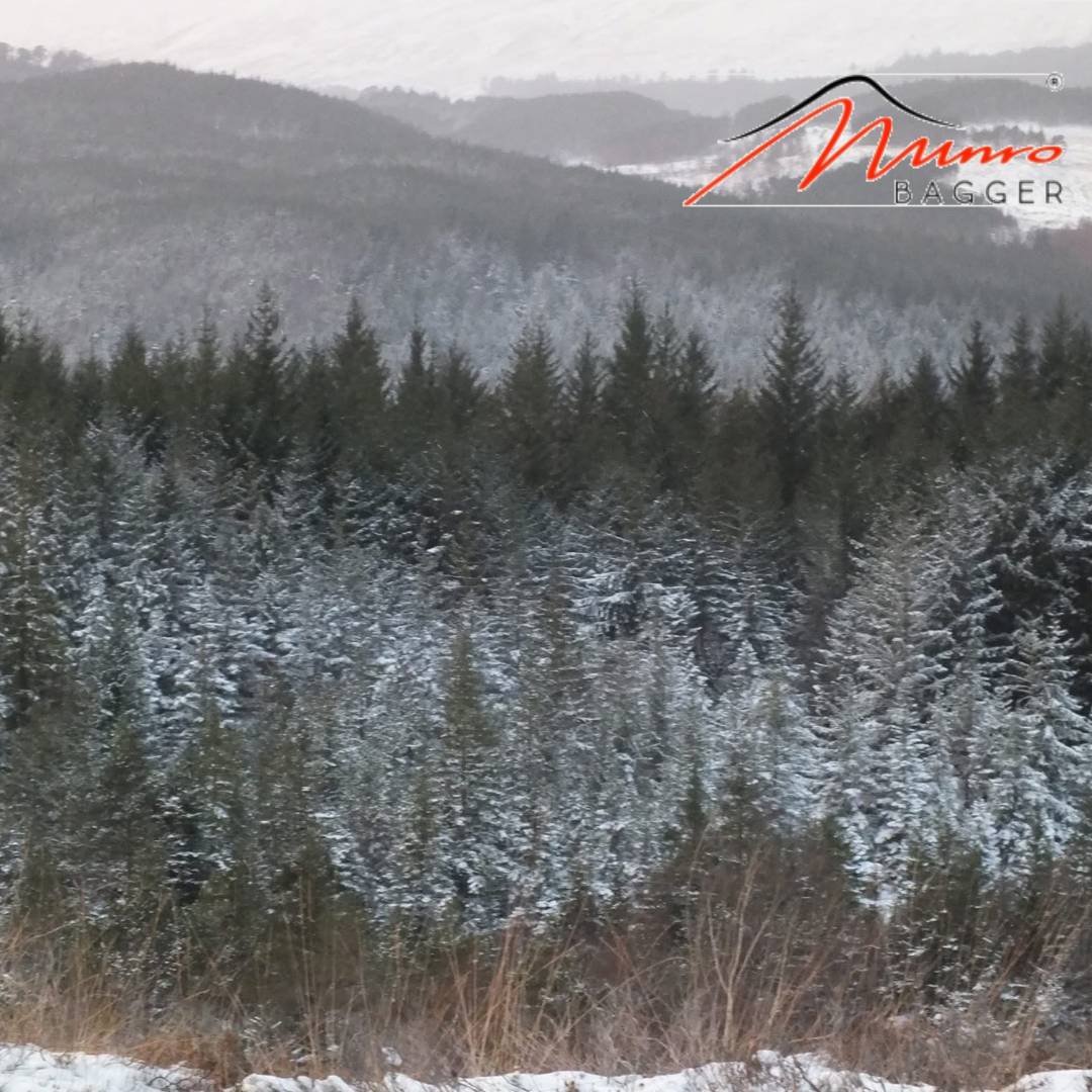 Exploring Glen Affric