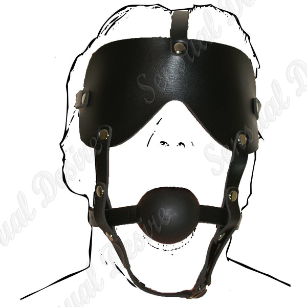 blindfold harness and ball gag