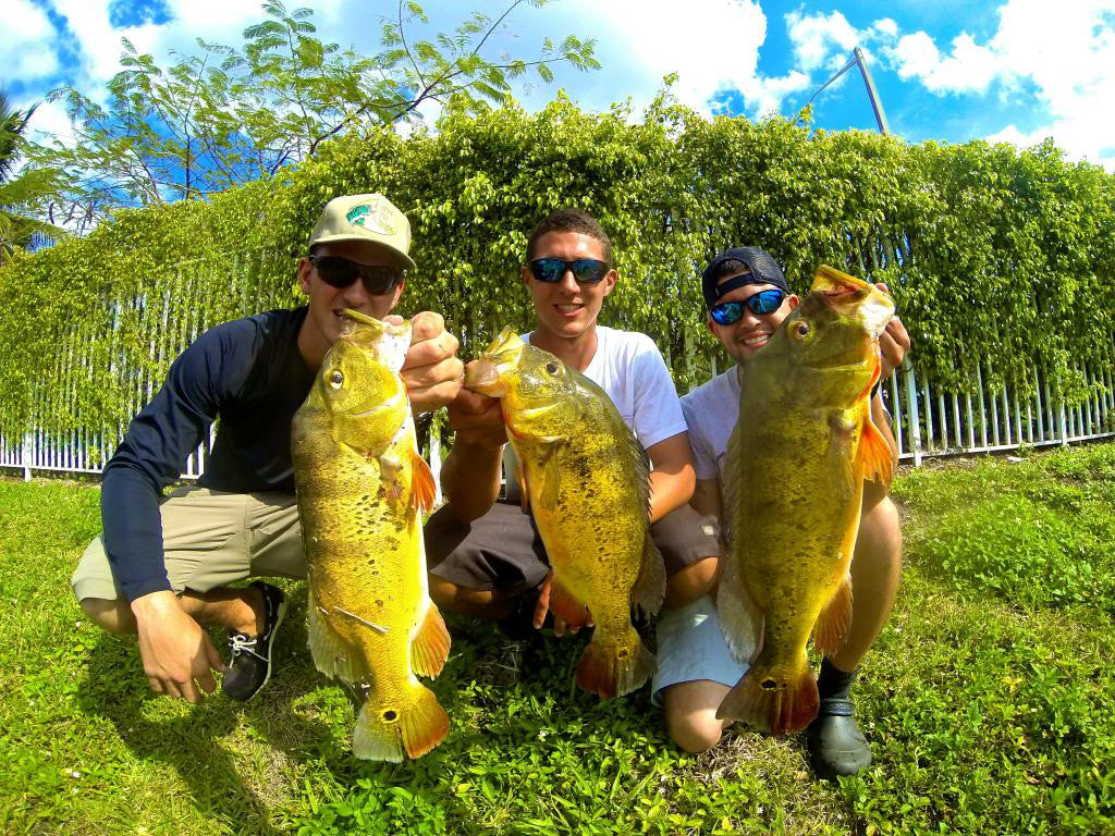 fishing planet florida peacock bass