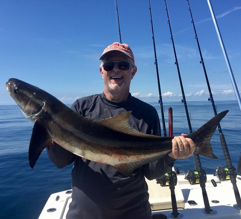 Best Bait For Cobia