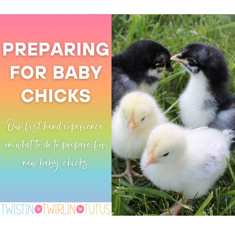 Preparing for baby chicks