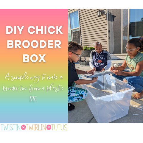 DIY Chick Brooder Box from Plastic Tote