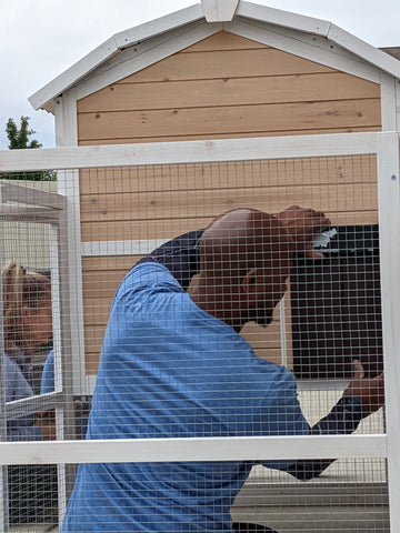 Modifying the chicken coop with automatic door