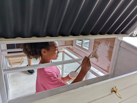 Building a chicken coop