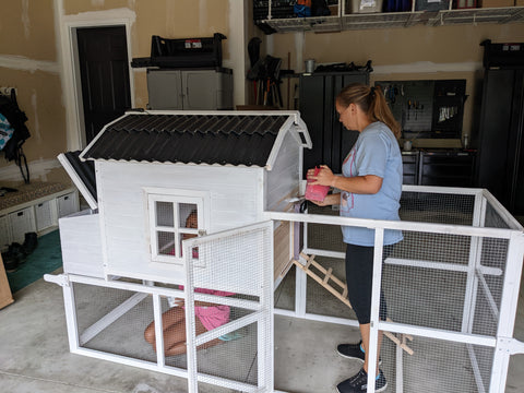 Painting our chicken coop