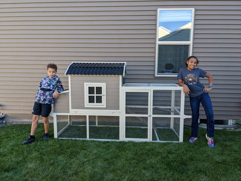 Kids built a chicken coop