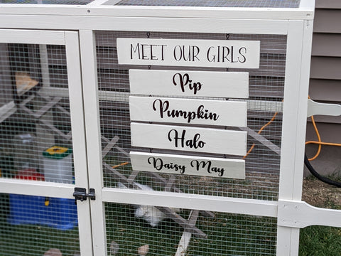 Chicken coop sign