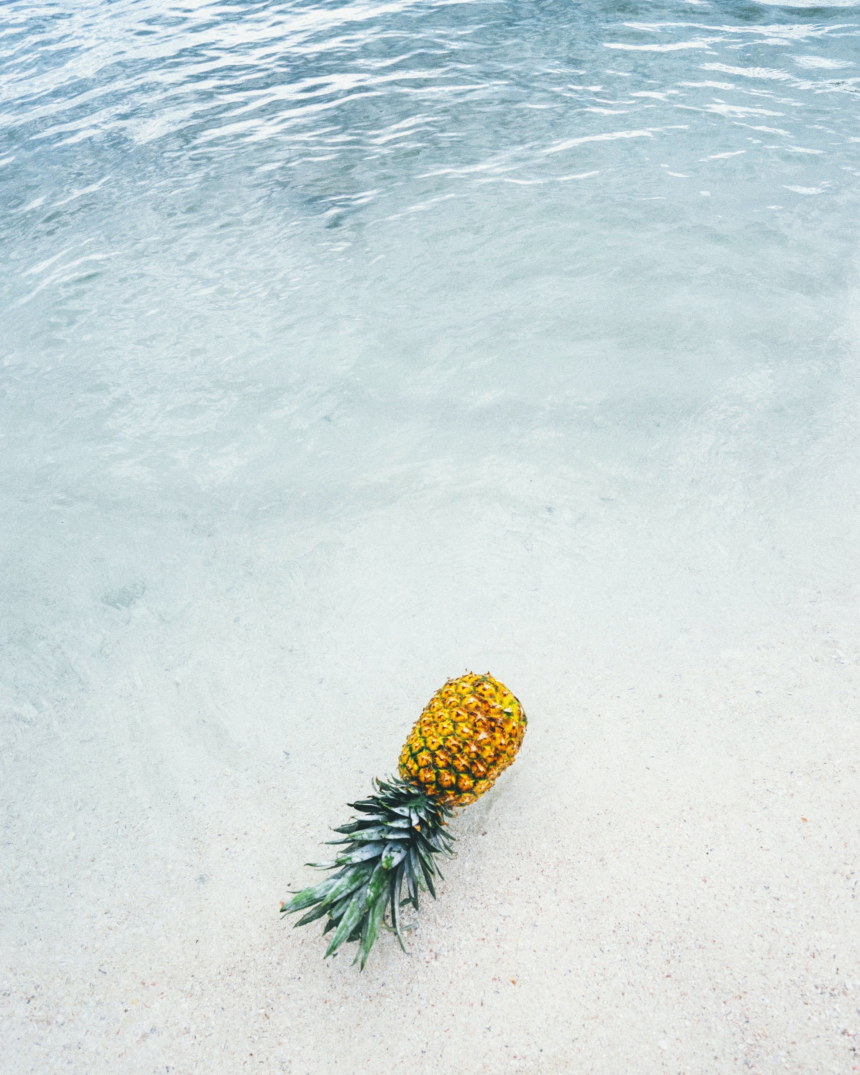 Pineapple Wallpapers 62 images