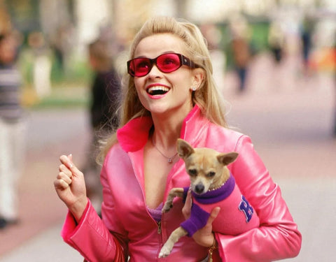 Halloween costume idea for Legally Blonde