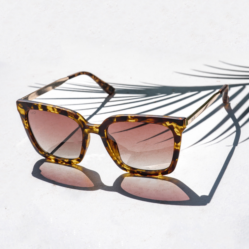 Madison | Polarized