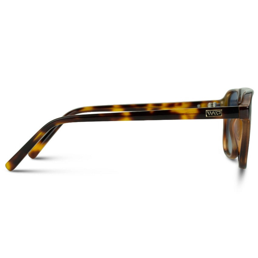 Emerson | Polarized