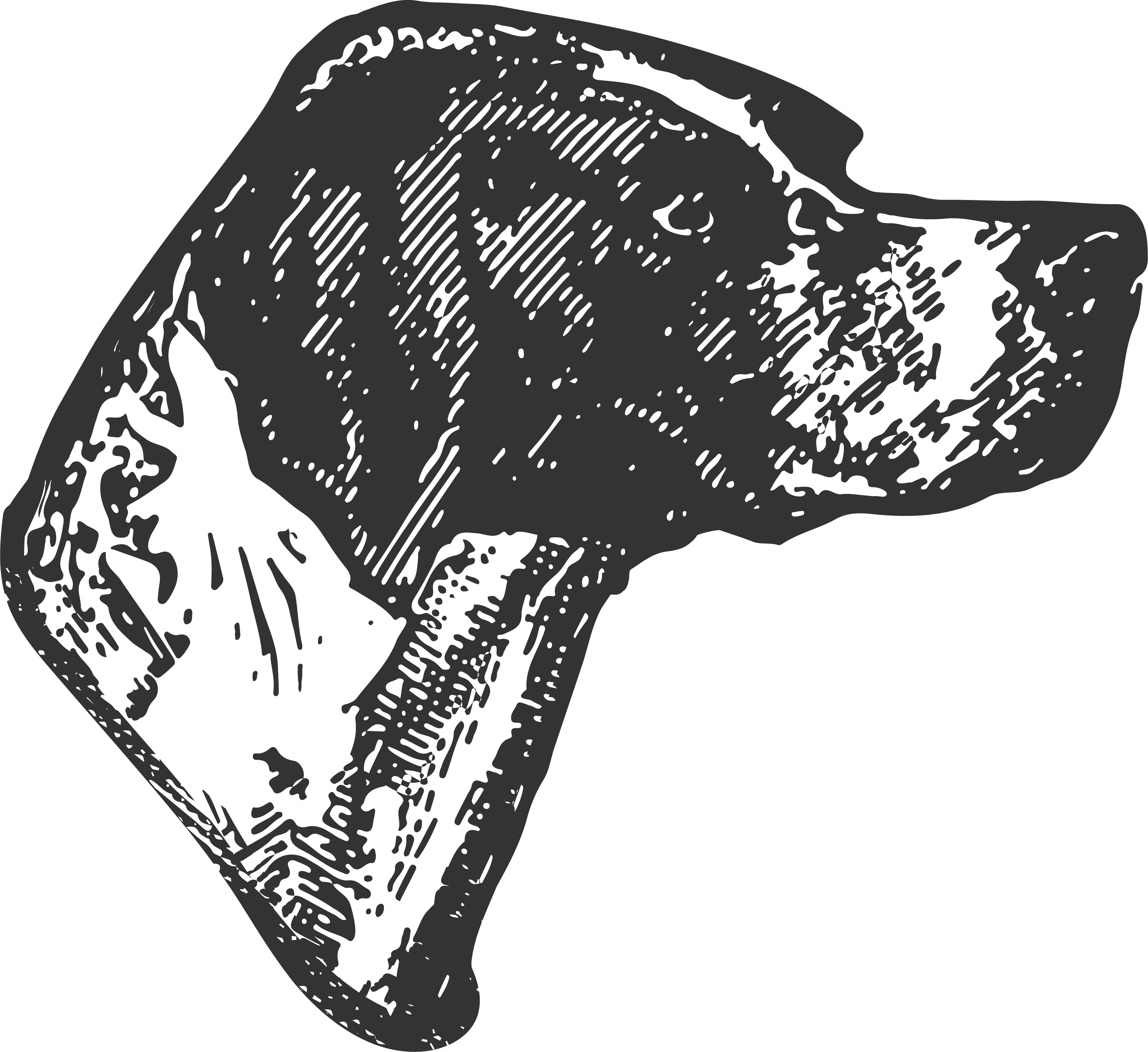 Field Transitions Gundog Logo