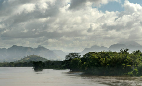 SAVA Vanilla Region, Madagascar