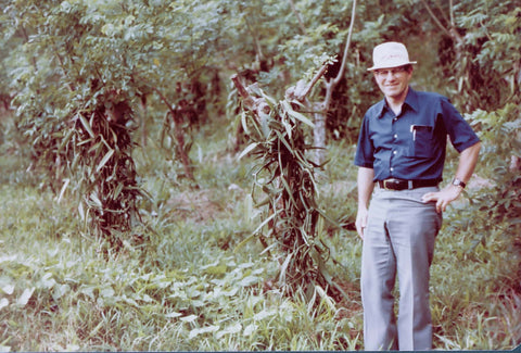 Ray with Vanilla Vines