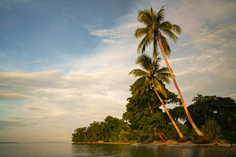Papua New Guinea Beach