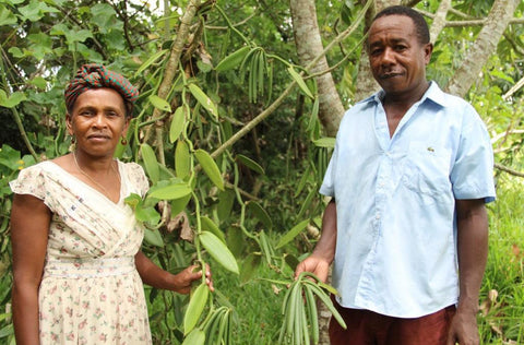 Madagascar Vanilla Farmers