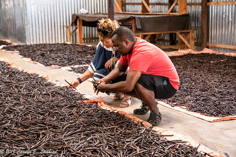 Josephine and Dylan Inspect Curing Vanilla Beans