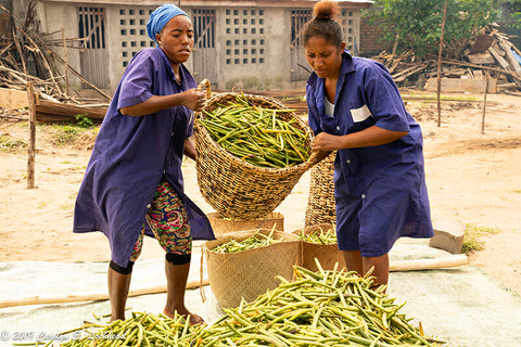 Sorting Preparation