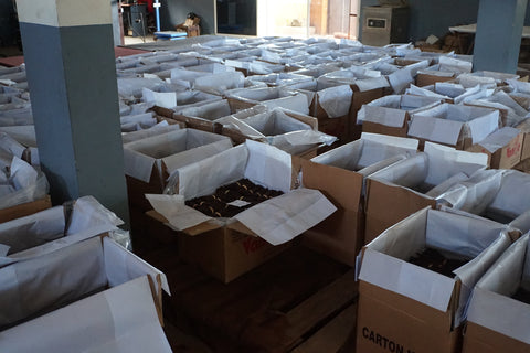 Cook's Organic Vanilla Beans Ready For Shipment