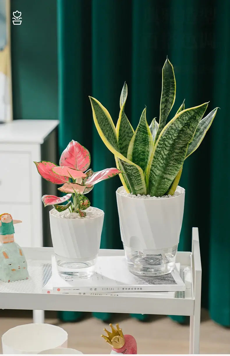 Double Layer Plastic Planter