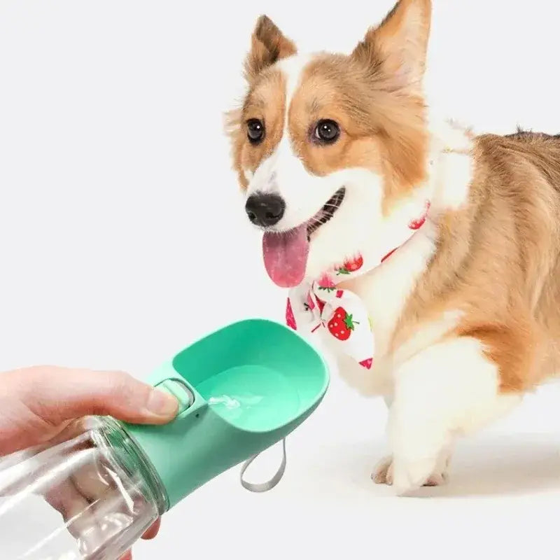 Portable Dog Water Bottle