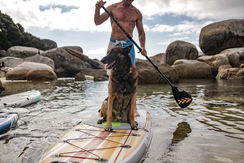 Homem a remar para trás com cão no SUP
