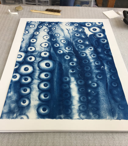 Brian Buckley cyanotype photographic prints archival framing