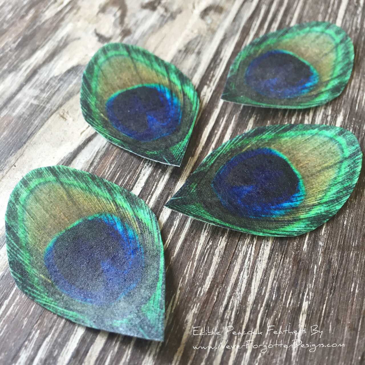 Make a Peacock Feather Design with All-Purpose Inks