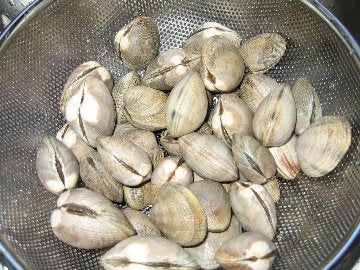 SteamerClams1